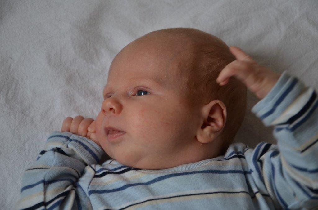 oskar